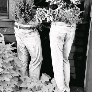 Meet your Posher, Julie